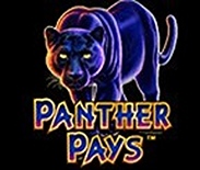 Panther Pays