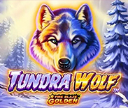 Fire Blaze: Tundra Wolf